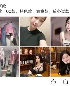 惠州博罗县咯咯哒