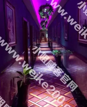 太阳城巨乳之旅,水疗好去处,泻火放松好商家