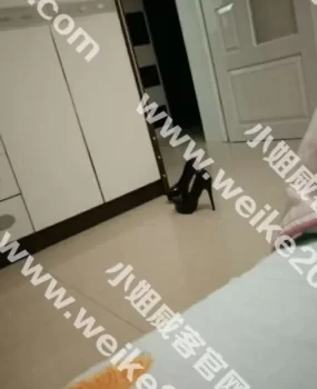 感谢威客论坛验证萌萌