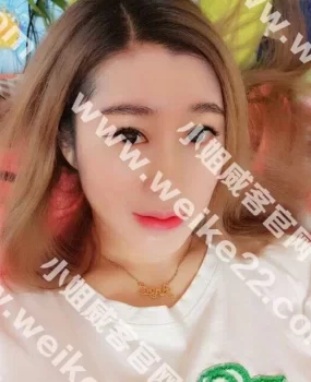 劲松小狐狸验证完归来