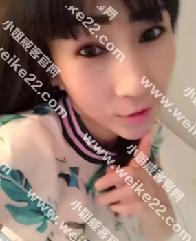 朝阳望京兼职上门小懒猫