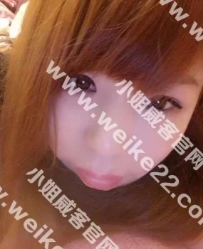 验证朝阳性价比之王周周