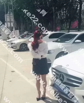 验证海湖新区东北骚妇