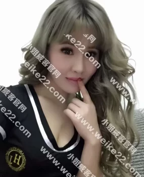 朝阳小狐狸大家都熟悉