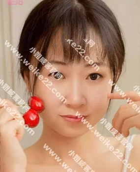 北京西站附近丽新怡园