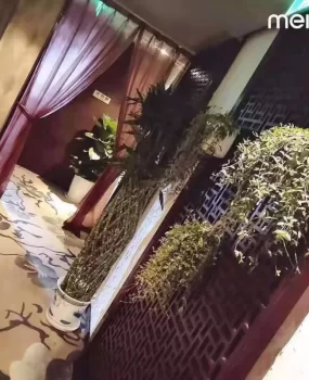 推荐一个可以爱爱的地方